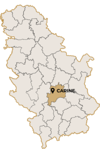 TRSTENIČKO VINOGORJE. POTES CARINE.