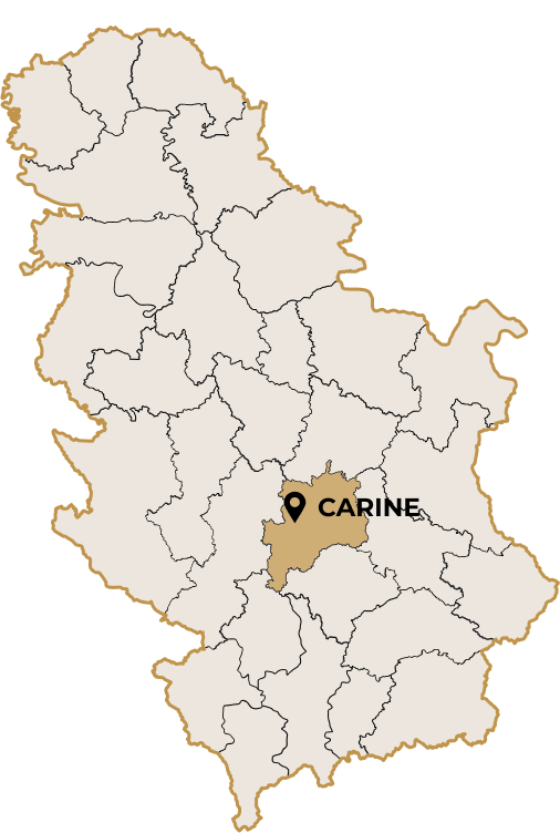 TRSTENIČKO VINOGORJE. POTES CARINE.